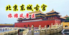 美女av逼逼好大中国北京-东城古宫旅游风景区